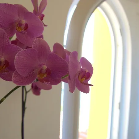 La Terrazza Sul Mare 4* Capri