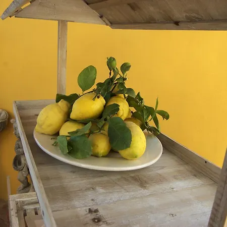 Alojamento de Acomodação e Pequeno-almoço La Terrazza Sul Mare 4*