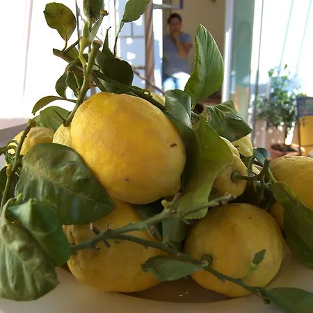 Alojamento de Acomodação e Pequeno-almoço La Terrazza Sul Mare 4*