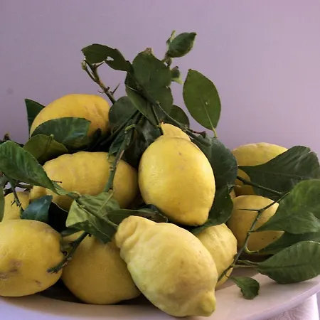 Alojamento de Acomodação e Pequeno-almoço La Terrazza Sul Mare