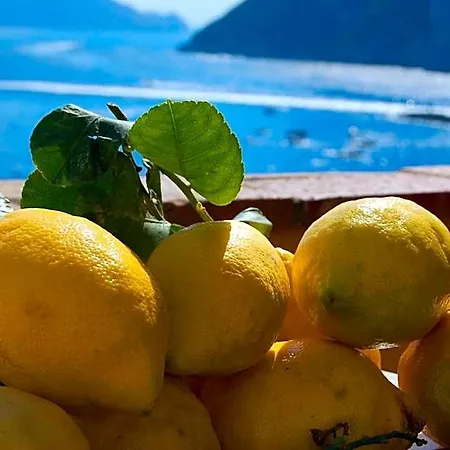 לינה וארוחת בוקר La Terrazza Sul Mare 4*