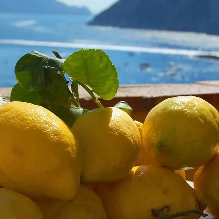 La Terrazza Sul Mare Couette-café