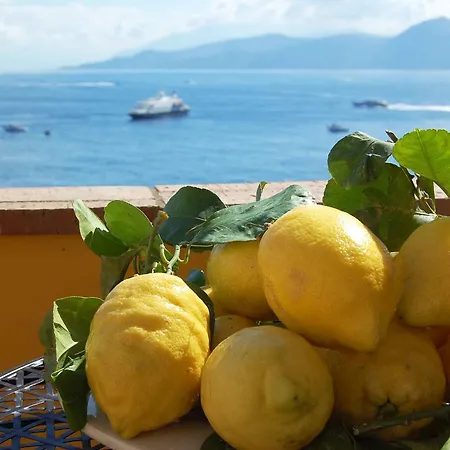 La Terrazza Sul Mare 4* 卡普里