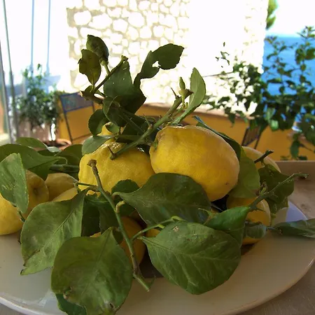 La Terrazza Sul Mare Couette-café Capri