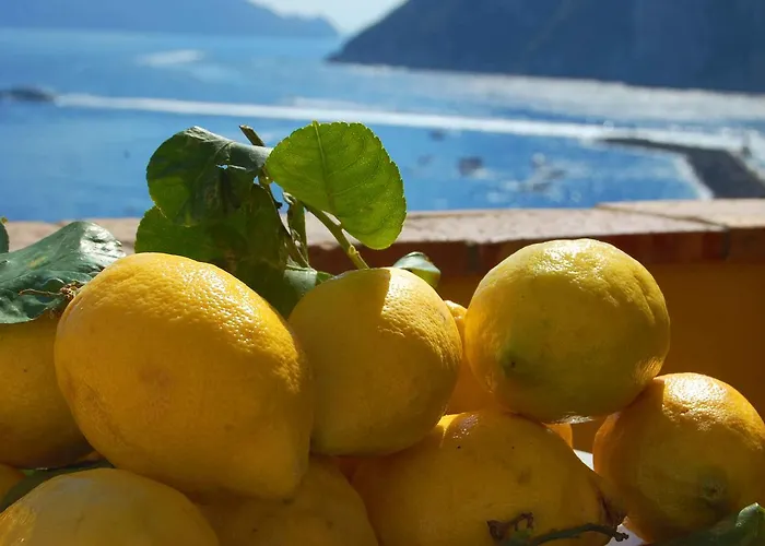 La Terrazza Sul Mare Bed and breakfast