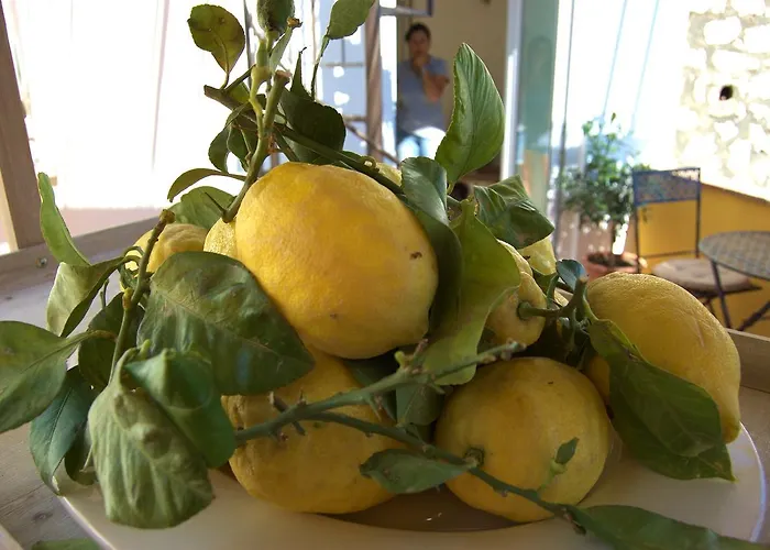 Bed and breakfast La Terrazza Sul Mare 4*