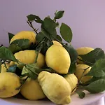 Bed & Breakfast La Terrazza Sul Mare