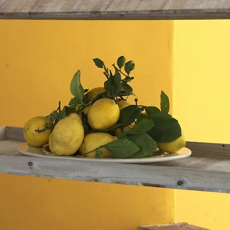 B&B La Terrazza Sul Mare 카프리