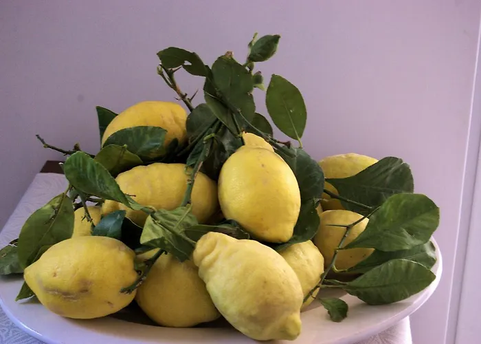 Bed & Breakfast La Terrazza Sul Mare